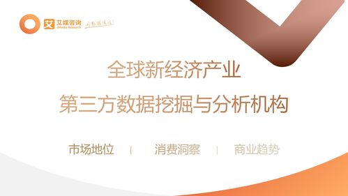 2023年中國信創產業發展白皮書 防雷器行業技術革新與市場前景